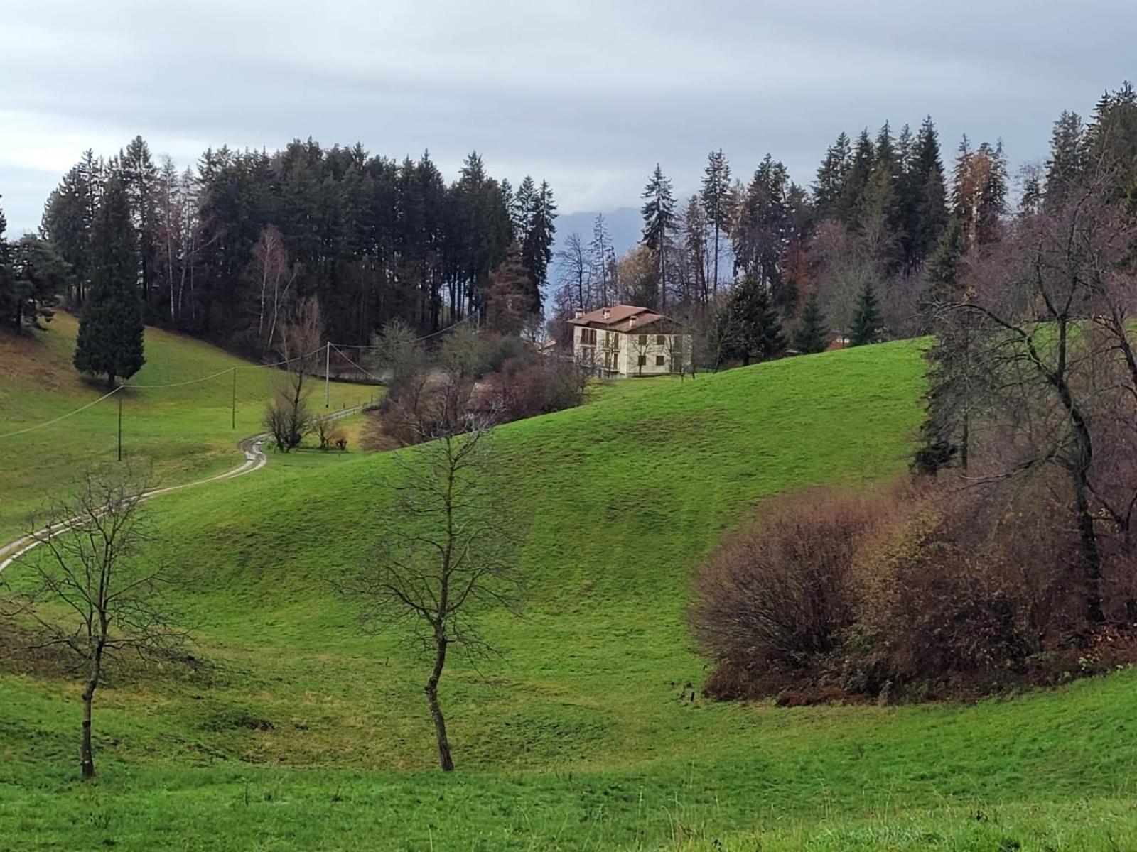 Green House Mountain Lake Iseo Hospitality Apartment Bossico Екстериор снимка