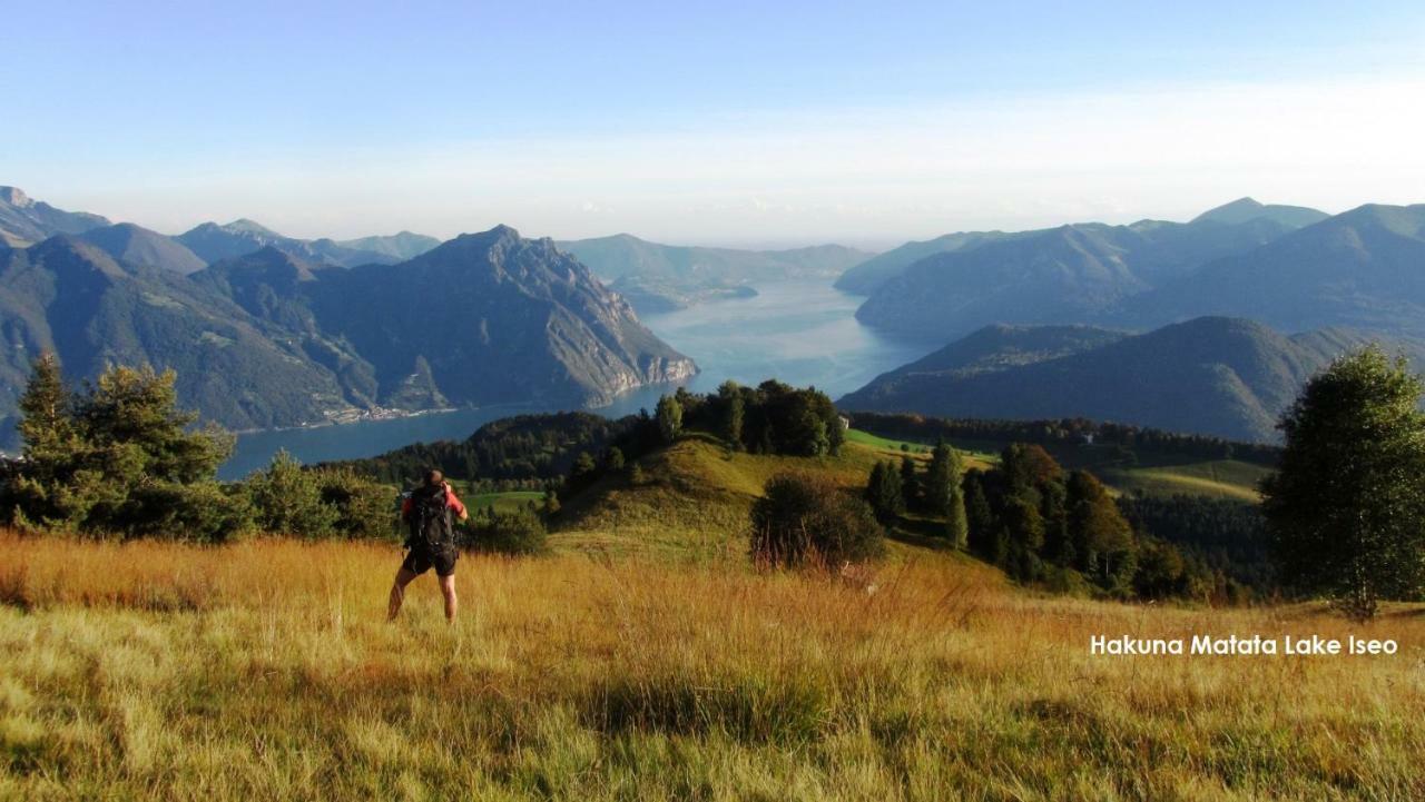 Green House Mountain Lake Iseo Hospitality Apartment Bossico Екстериор снимка
